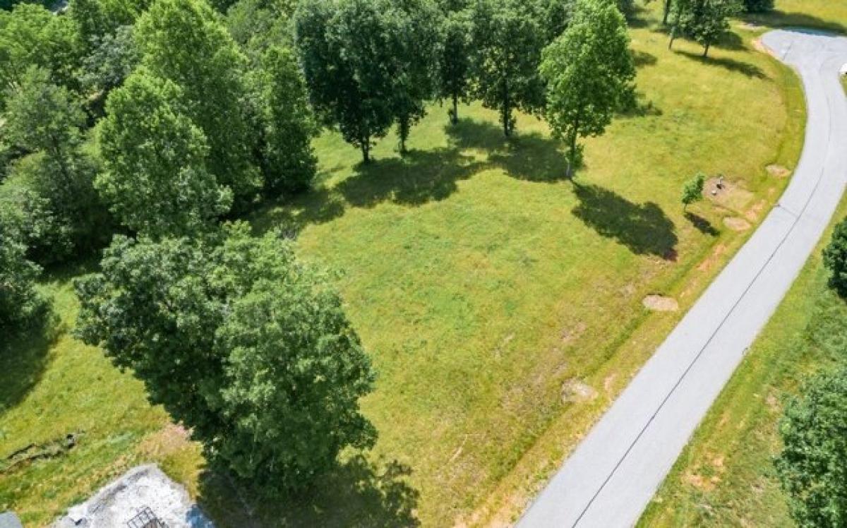 Picture of Residential Land For Sale in Blairsville, Georgia, United States