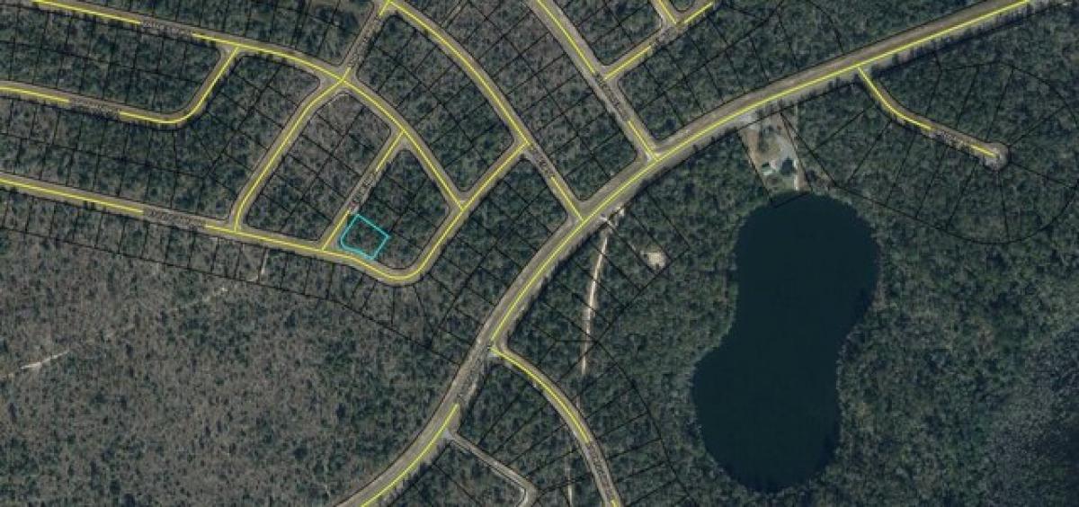 Picture of Residential Land For Sale in Chipley, Florida, United States