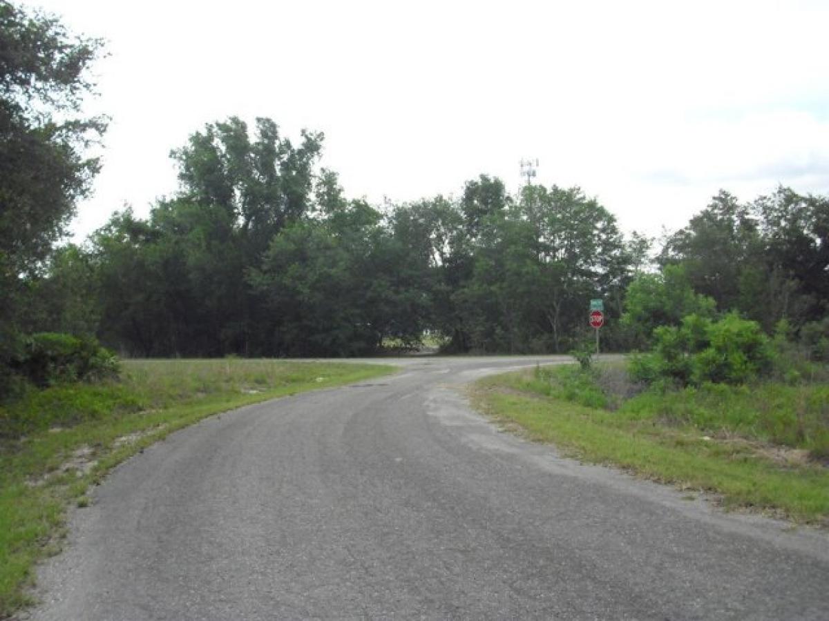 Picture of Residential Land For Sale in Ocklawaha, Florida, United States