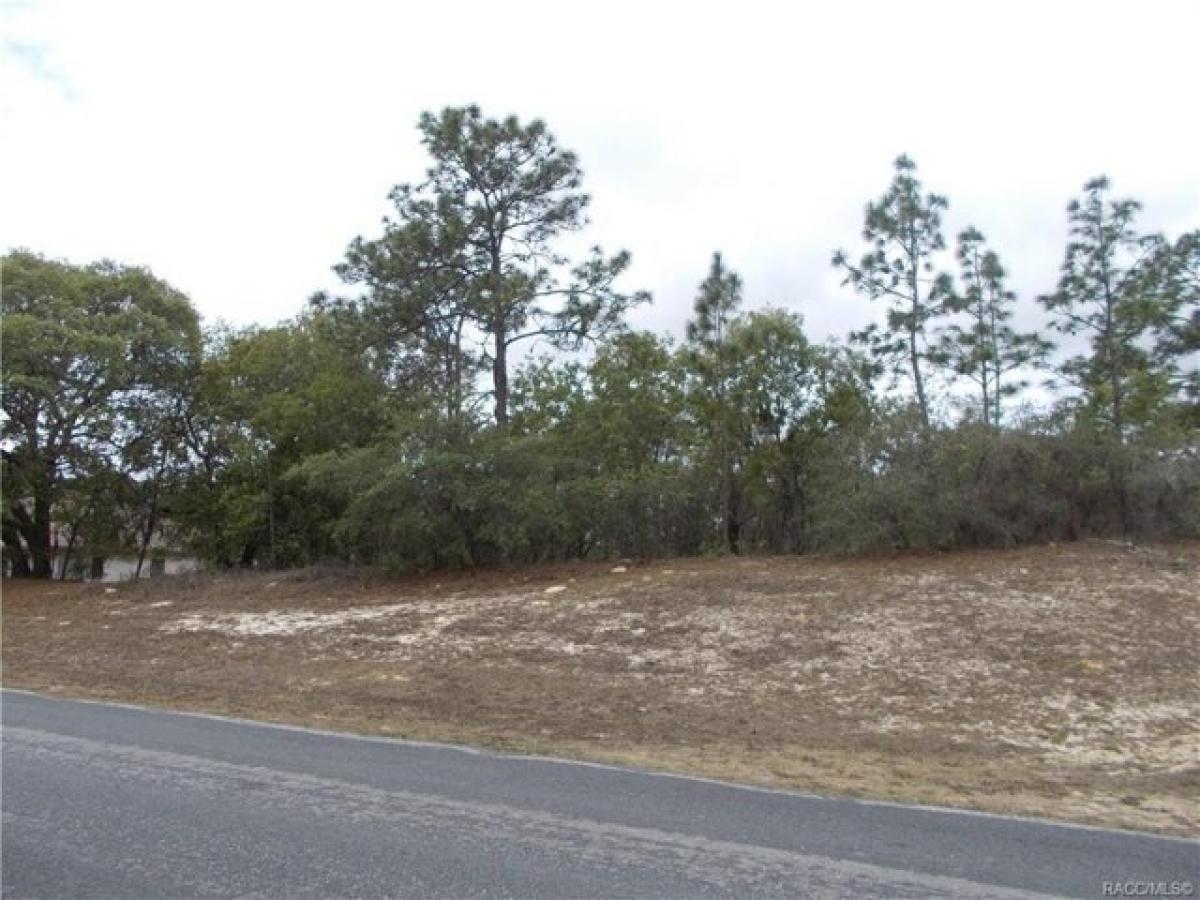 Picture of Residential Land For Sale in Inverness, Florida, United States