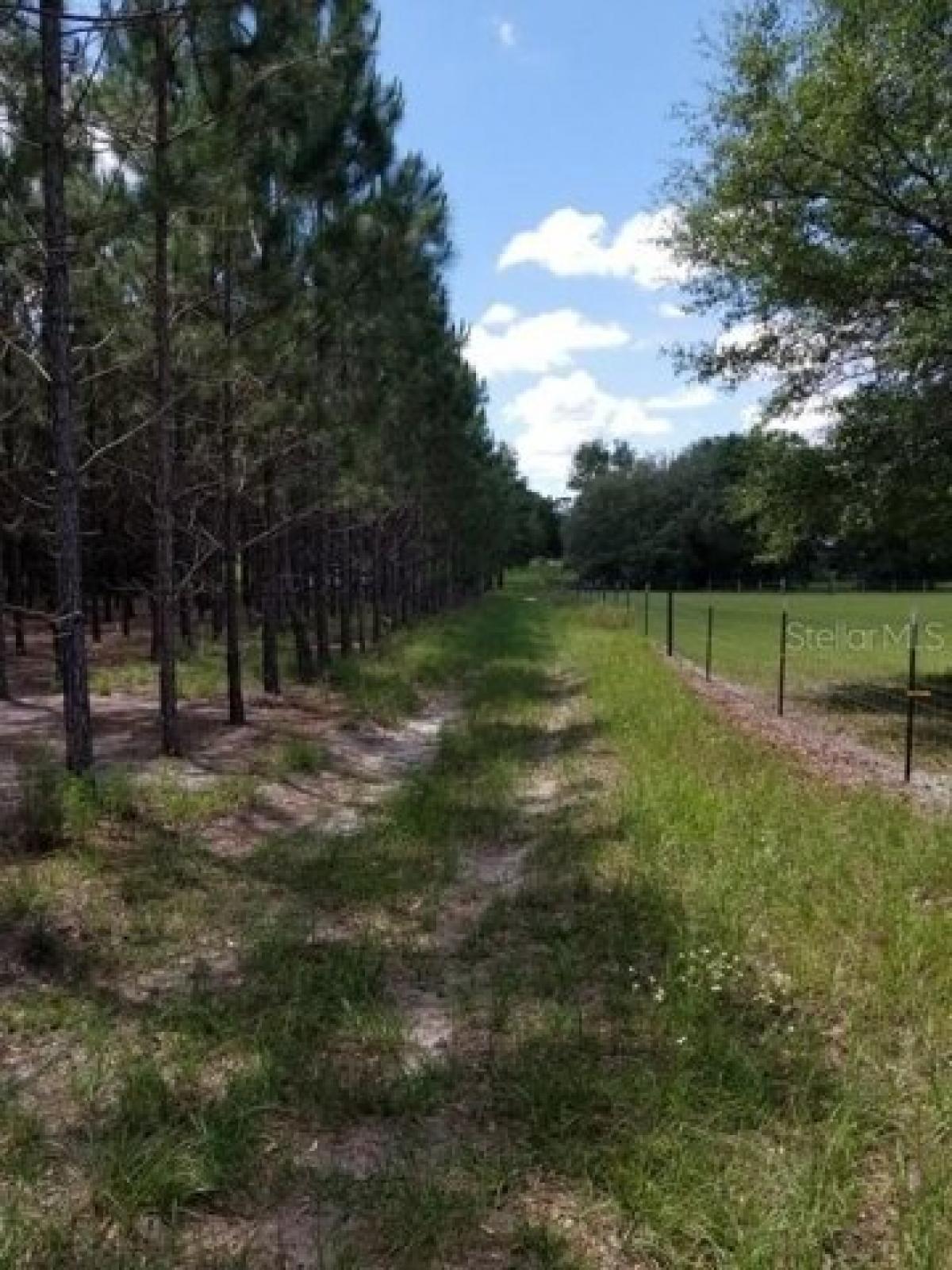 Picture of Residential Land For Sale in Newberry, Florida, United States