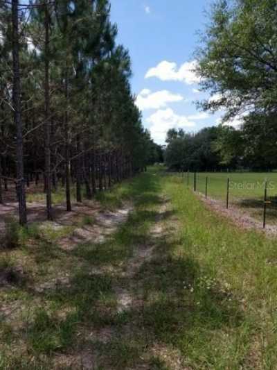 Residential Land For Sale in Newberry, Florida