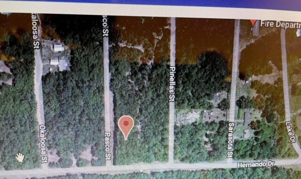 Picture of Residential Land For Sale in Palatka, Florida, United States