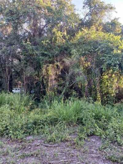 Residential Land For Sale in Leesburg, Florida