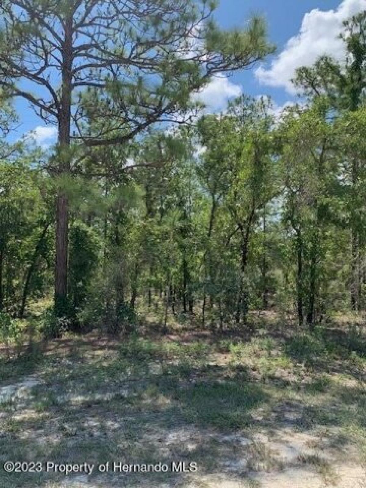 Picture of Residential Land For Sale in Weeki Wachee, Florida, United States