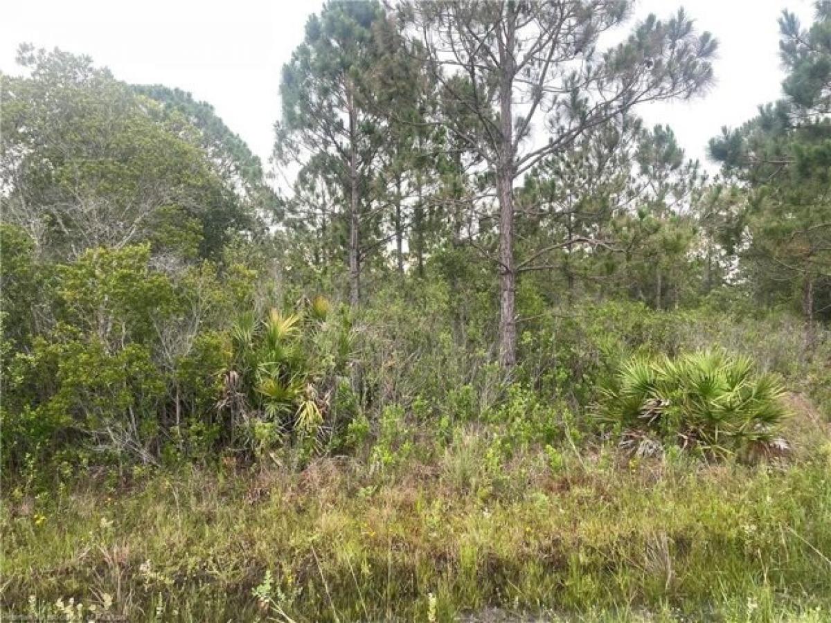 Picture of Residential Land For Sale in Lake Placid, Florida, United States