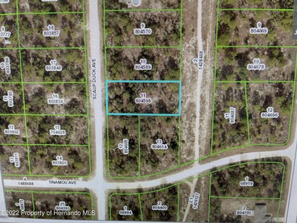 Picture of Residential Land For Sale in Brooksville, Florida, United States