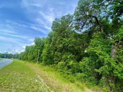 Residential Land For Sale in Old Town, Florida