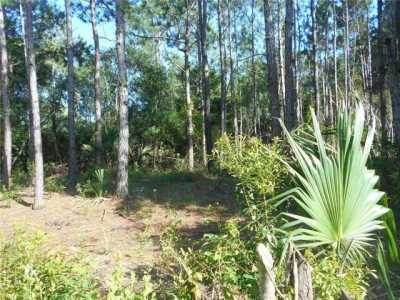 Residential Land For Sale in Silver Springs, Florida