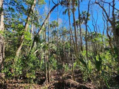 Residential Land For Sale in Homosassa, Florida