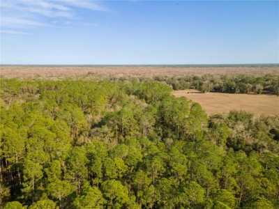 Residential Land For Sale in Cross City, Florida