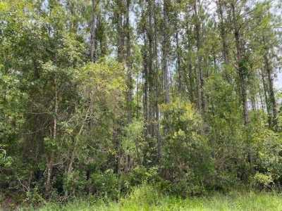 Residential Land For Sale in Palatka, Florida