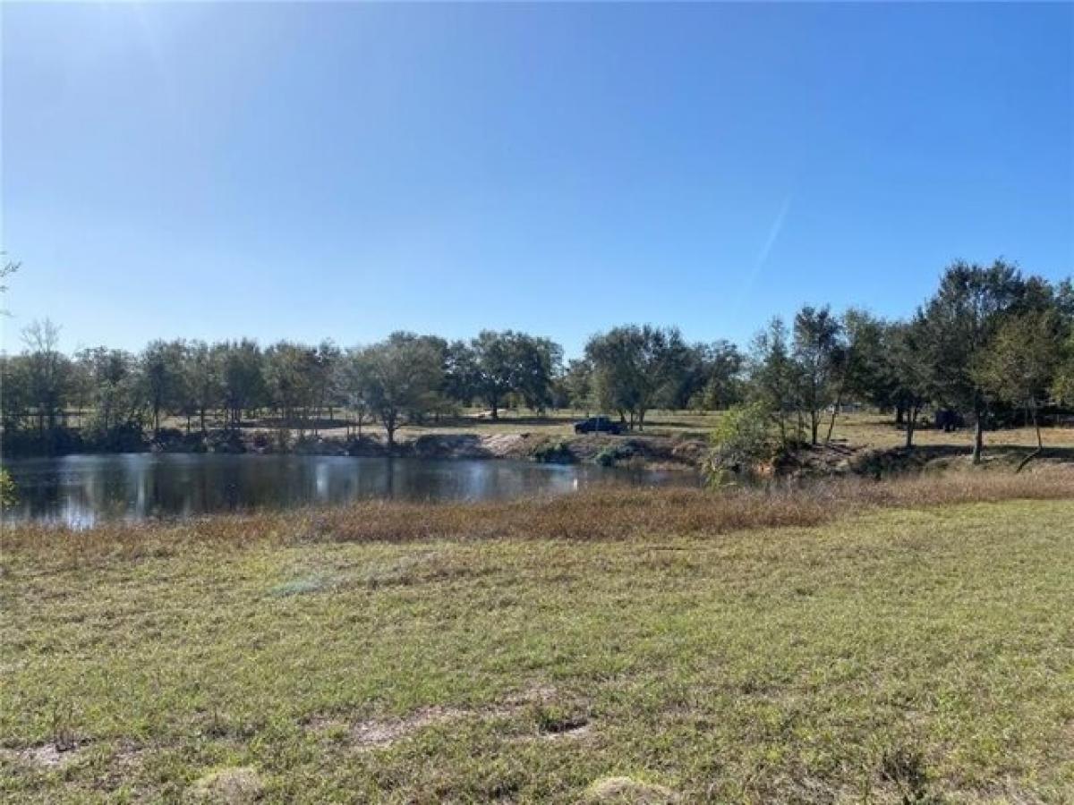 Picture of Residential Land For Sale in Clermont, Florida, United States