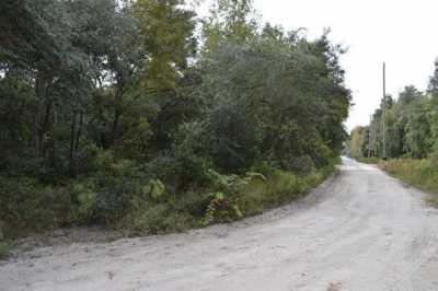 Residential Land For Sale in Cross City, Florida