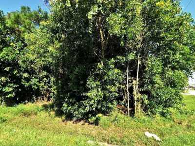 Residential Land For Sale in Port Saint Lucie, Florida