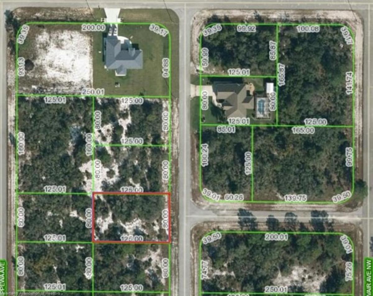 Picture of Residential Land For Sale in Lake Placid, Florida, United States