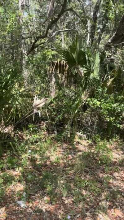 Residential Land For Sale in Homosassa, Florida