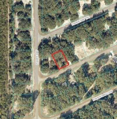 Residential Land For Sale in Ocklawaha, Florida