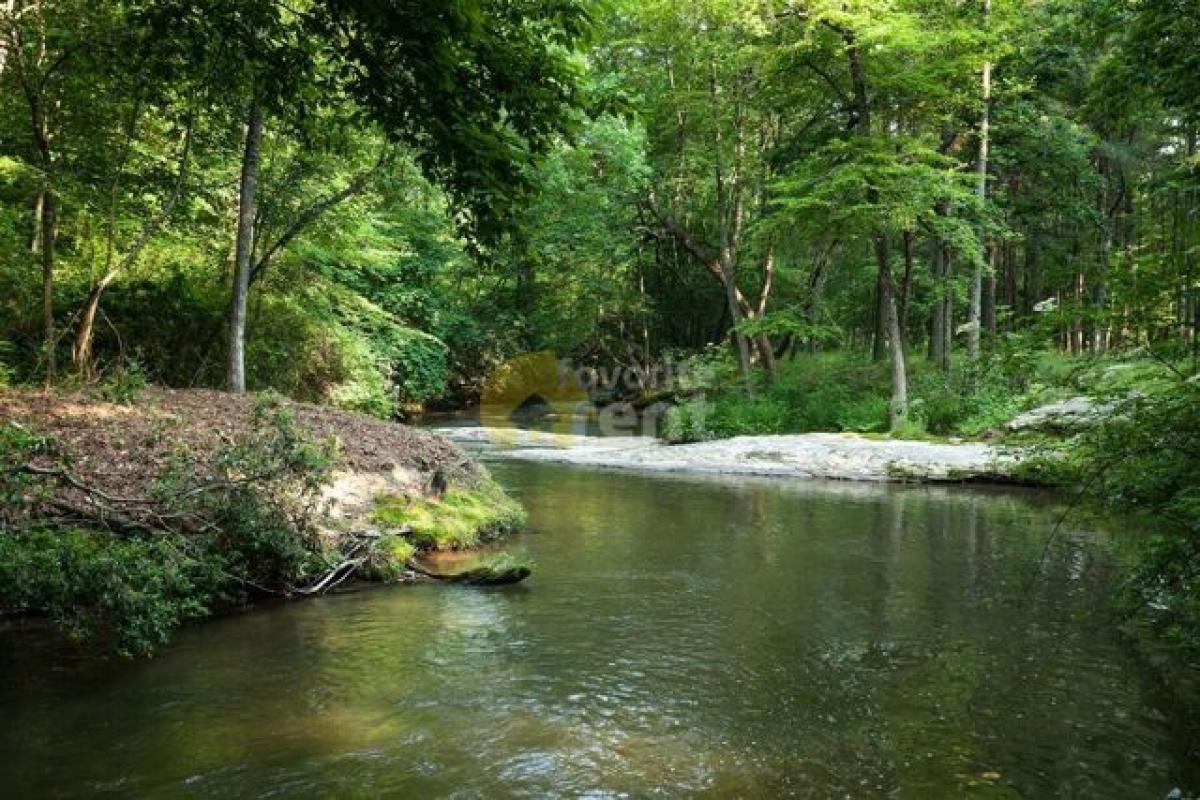 Picture of Home For Rent in Ellijay, Georgia, United States