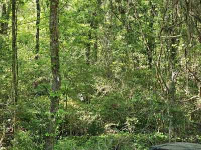 Residential Land For Sale in Tallahassee, Florida