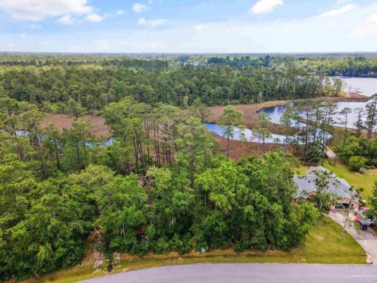 Picture of Residential Land For Sale in Milton, Florida, United States