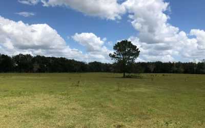 Residential Land For Sale in Jasper, Florida