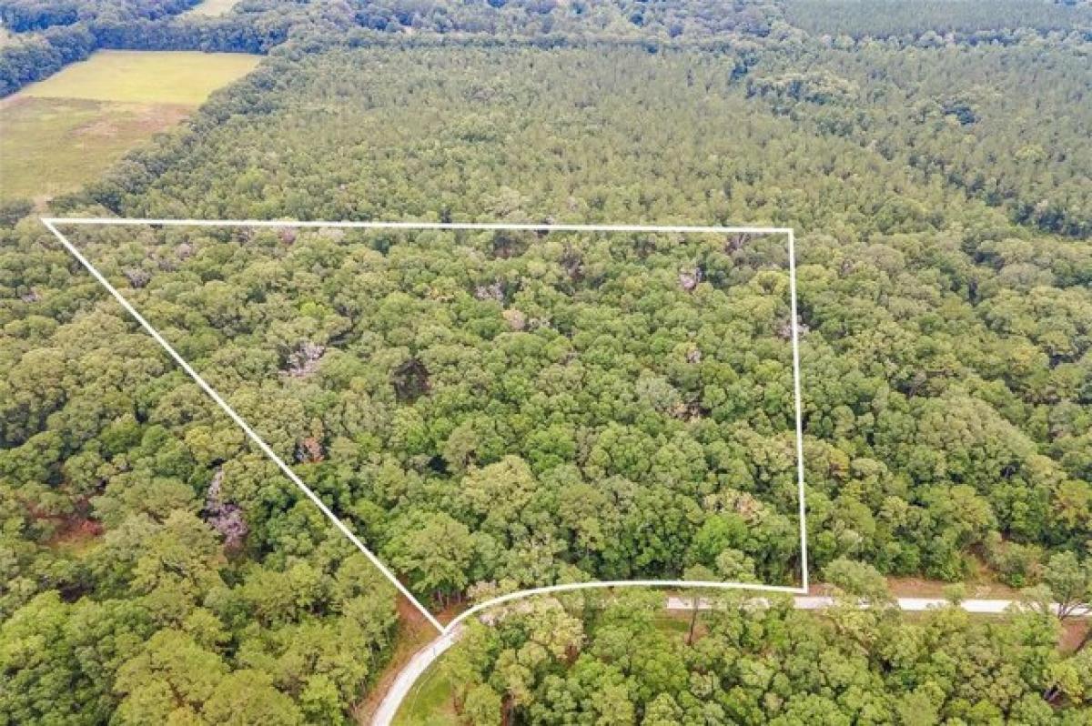 Picture of Residential Land For Sale in Alachua, Florida, United States