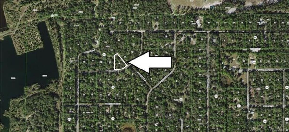 Picture of Residential Land For Sale in Crystal River, Florida, United States