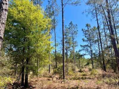 Residential Land For Sale in Pace, Florida