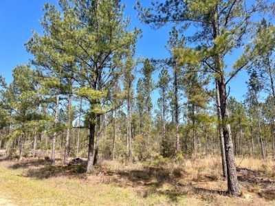 Residential Land For Sale in Pace, Florida