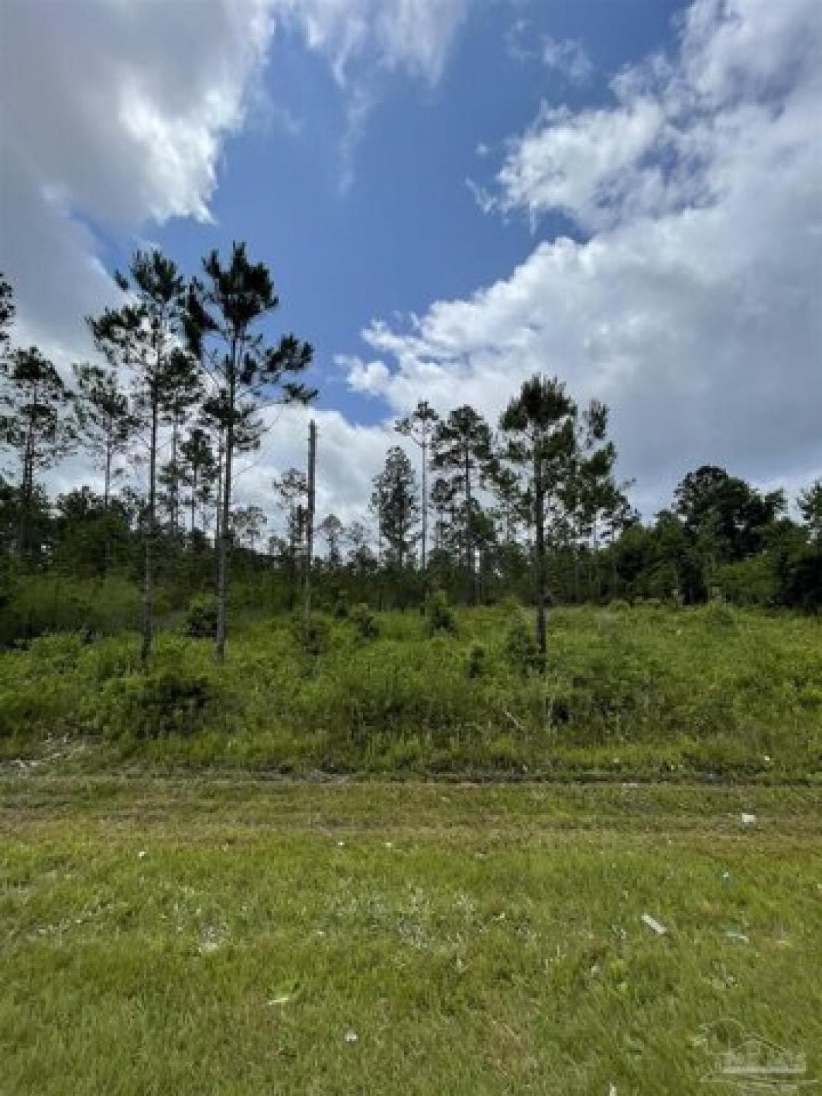 Picture of Residential Land For Sale in Milton, Florida, United States