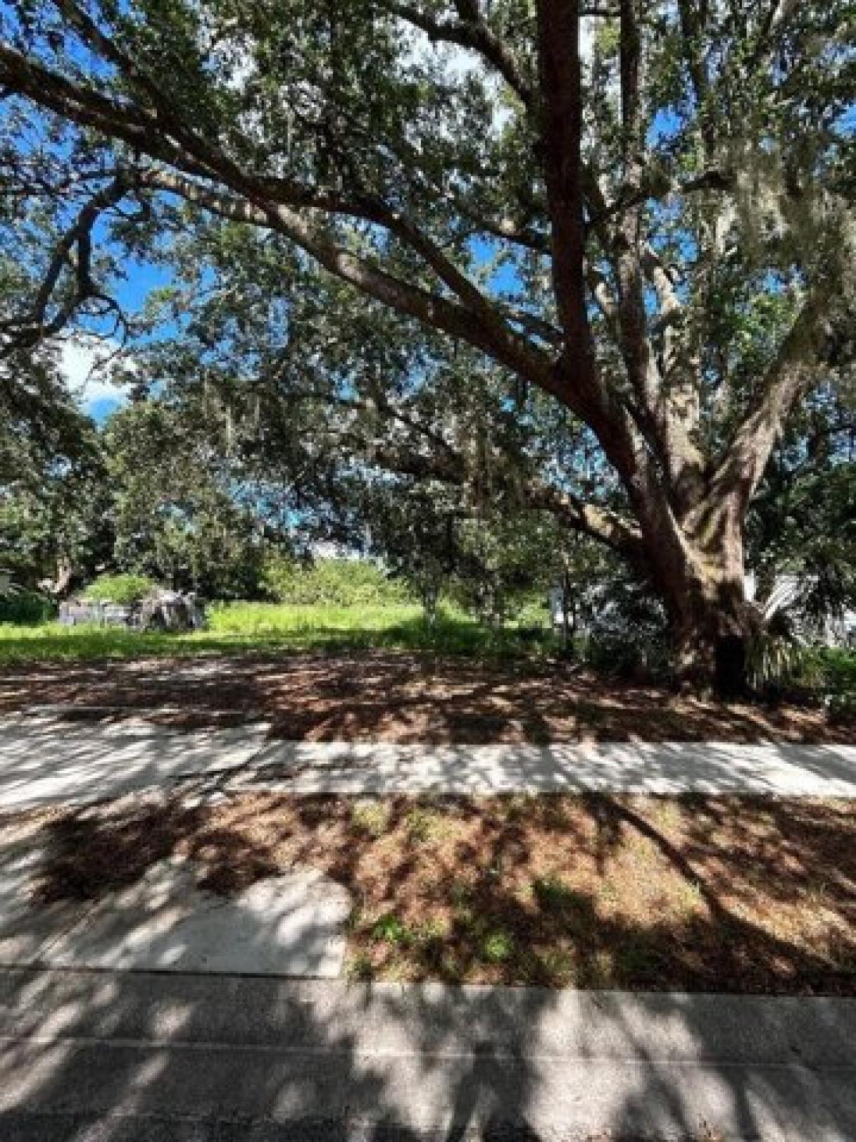 Picture of Residential Land For Sale in Orlando, Florida, United States