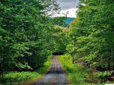 Residential Land For Sale in Windham, New York