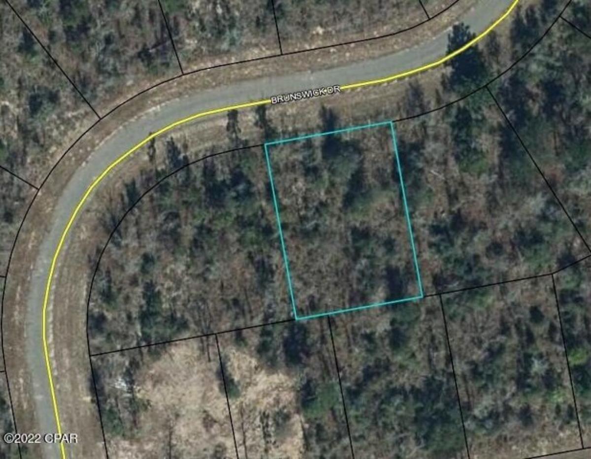 Picture of Residential Land For Sale in Chipley, Florida, United States