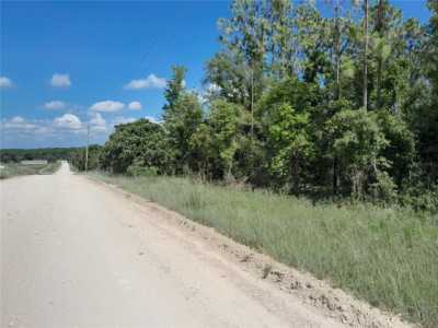 Residential Land For Sale in Williston, Florida