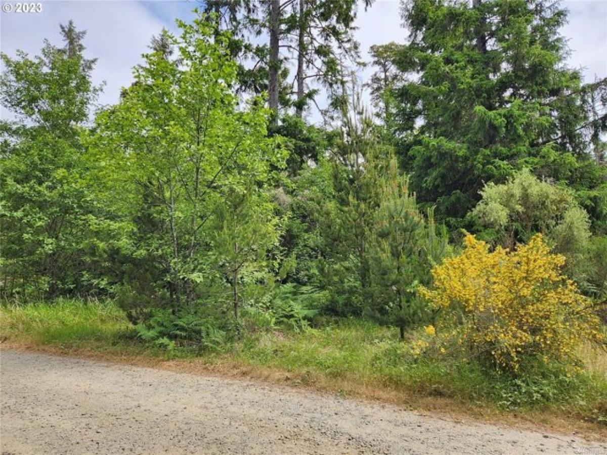 Picture of Residential Land For Sale in Ocean Park, Washington, United States