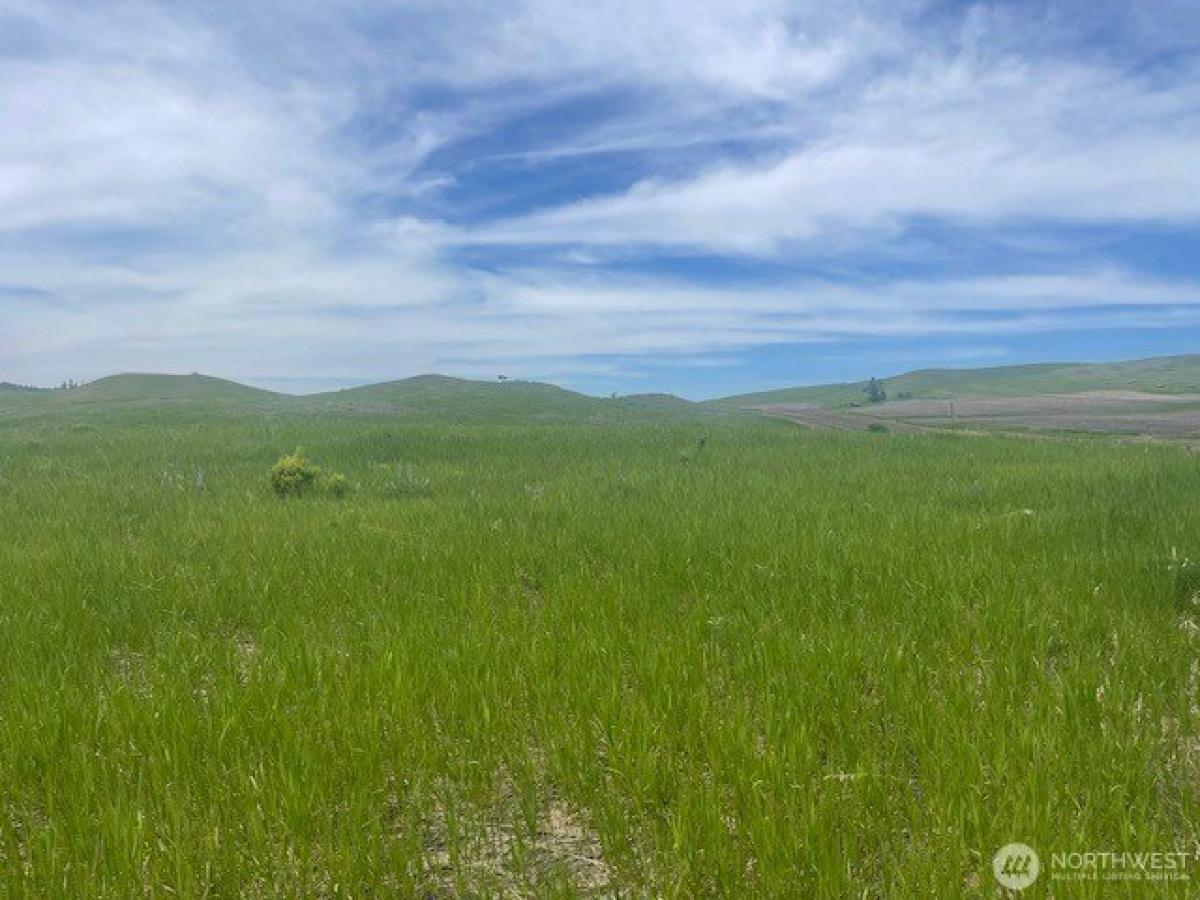 Picture of Residential Land For Sale in Oroville, Washington, United States