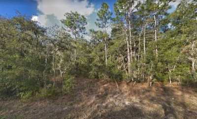 Residential Land For Sale in Webster, Florida