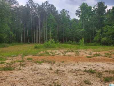 Residential Land For Sale in Riverside, Alabama