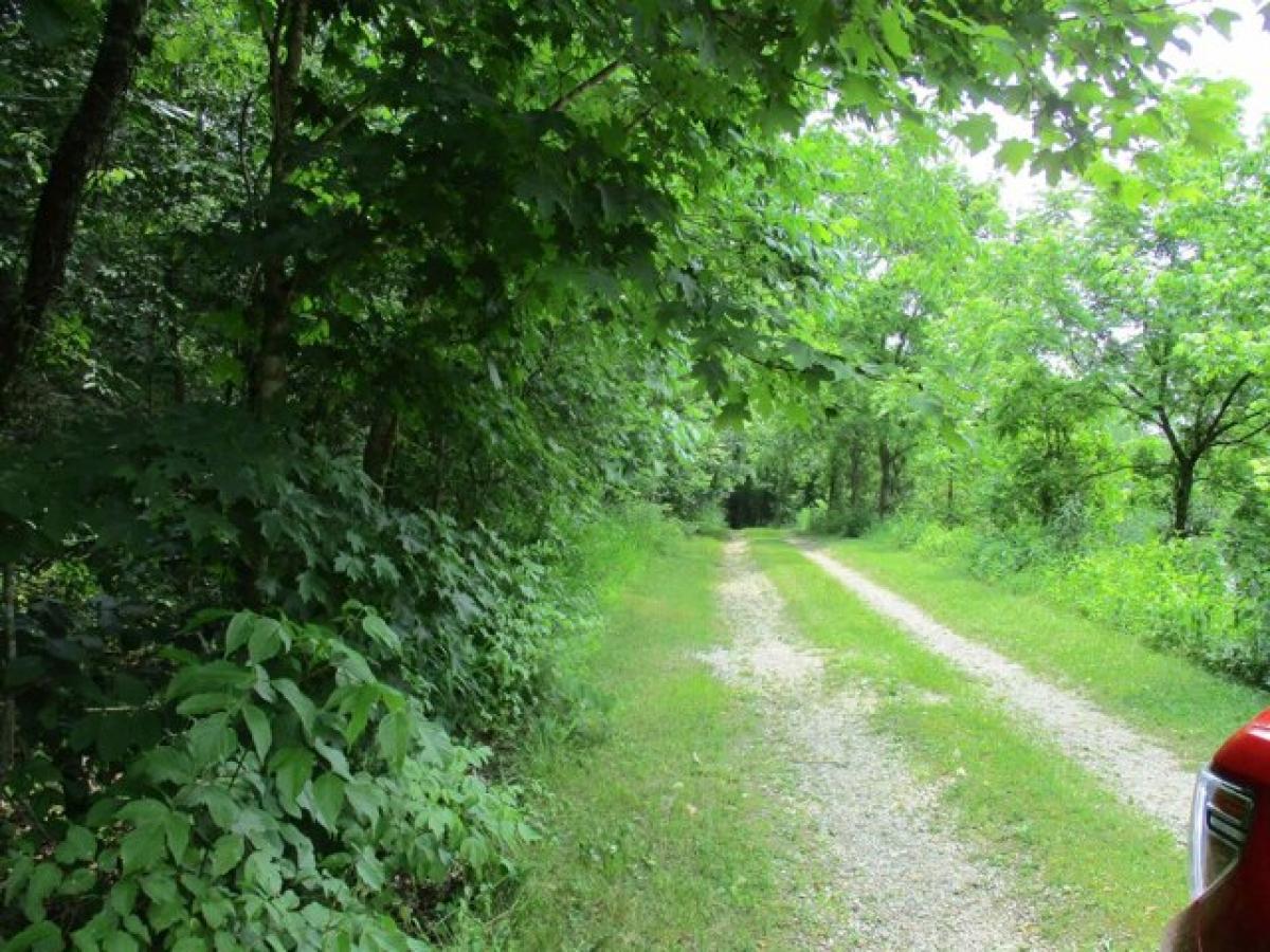 Picture of Home For Sale in Argillite, Kentucky, United States