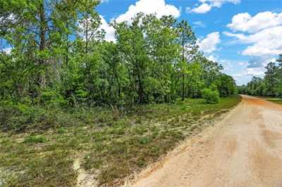 Residential Land For Sale in Ocklawaha, Florida