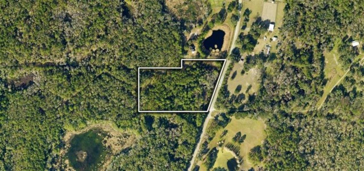 Picture of Residential Land For Sale in Micanopy, Florida, United States