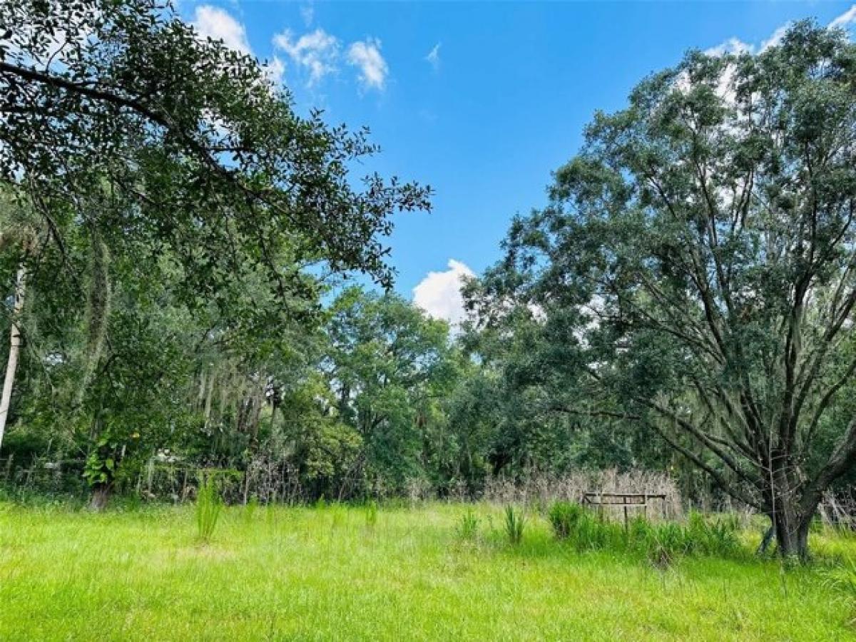 Picture of Residential Land For Sale in Sanford, Florida, United States