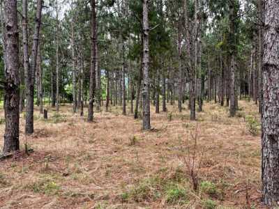 Residential Land For Sale in Hartford, Alabama