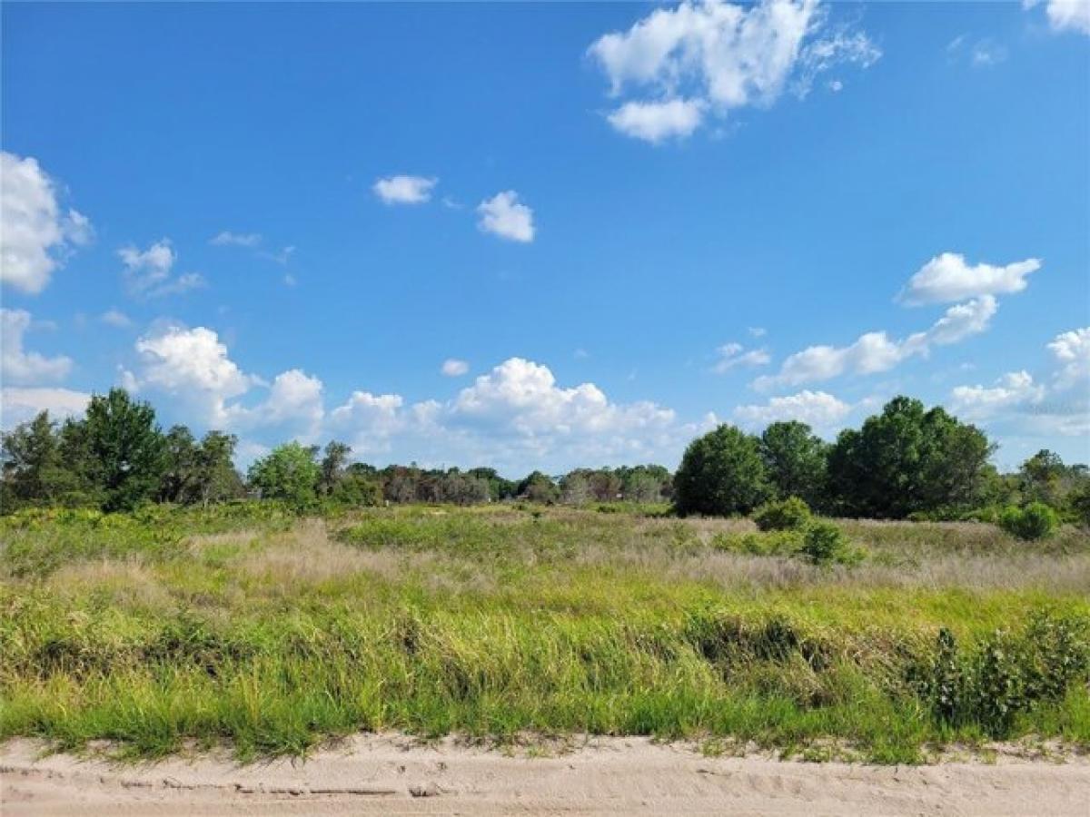 Picture of Residential Land For Sale in Lake Wales, Florida, United States