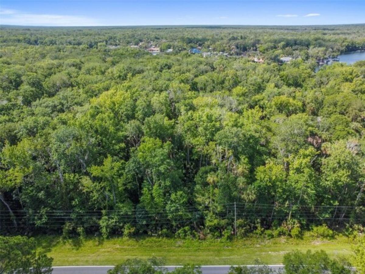 Picture of Residential Land For Sale in Homosassa, Florida, United States