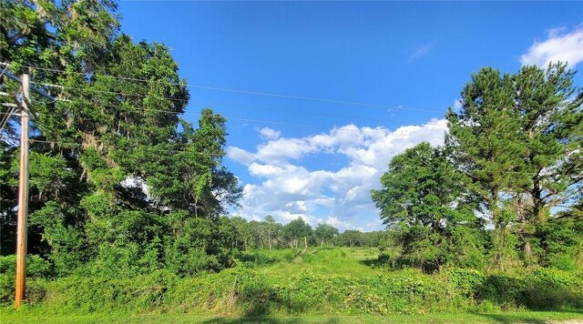 Picture of Residential Land For Sale in Reddick, Florida, United States