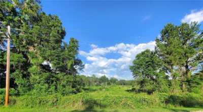 Residential Land For Sale in Reddick, Florida