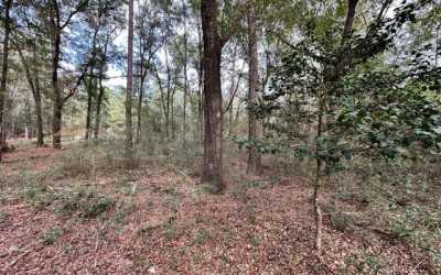 Residential Land For Sale in Live Oak, Florida