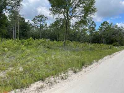 Residential Land For Sale in Morriston, Florida